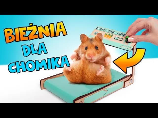 Jak zrobic bieżnie w domu - proste kroki i niezbędne materiały Jak zrobic bieżnie w domu - proste kroki i niezbędne materiały